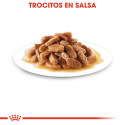 Royal Canin-Maxi Puppy (Sobre) (1)