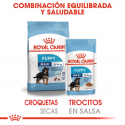 Royal Canin-Maxi Puppy (Sobre) (1)