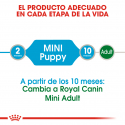 Royal Canin-Mini Puppy (Sobre) (1)