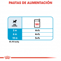 Royal Canin-Mini Puppy (Sobre) (1)