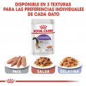 Royal Canin-Sterilised Pouch (in loaf) 85 gr. (1)