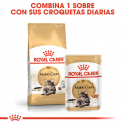 Royal Canin-Maine Coon Pouch (1)