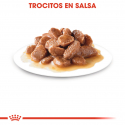 Royal Canin-Hairball Care Húmedo 85 gr. (1)