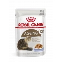 Royal Canin-Aeging +12 Pouch ( Jelly) 85 gr (1)