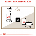 Royal Canin-Aeging +12 Pouch ( Jelly) 85 gr (1)