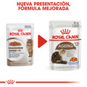 Royal Canin-Aeging +12 Pouch ( Jelly) 85 gr (1)