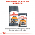 Royal Canin-Intense Beauty Pouch ( Jelly ) 85 gr (1)