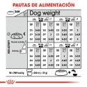 Royal Canin-Maxi Dermacomfort Razas Grandes (1)