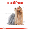 Royal Canin-Yorkshire Pouch 85 gr (1)