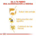 Royal Canin-Yorkshire Pouch 85 gr (1)