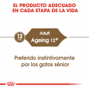 Royal Canin-Ageing +12 Pouch 85gr. (1)