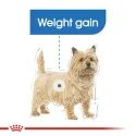 Royal Canin-Mini Light Razas Pequeñas (1)