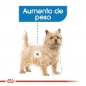 Royal Canin-Mini Light Razas Pequeñas (1)