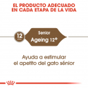 Royal Canin-Ageing +12 Años (1)