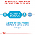 Royal Canin-Starter Mousse Gestación/Lactancia (1)