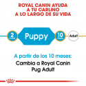 Royal Canin-Carlino Cachorro (1)