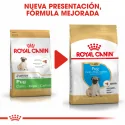 Royal Canin-Carlino Cachorro (1)