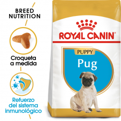 Royal Canin-Carlino Cachorro (1)