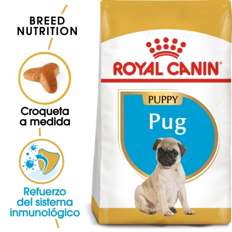 Royal Canin-Carlino Cachorro (1)