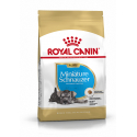 Royal Canin-Schnauzer Miniature Cachorro (1)