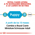 Royal Canin-Schnauzer Miniature Cachorro (1)