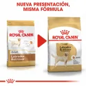 Royal Canin-Labrador Retriever Adulto (1)