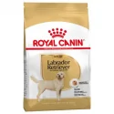 Royal Canin-Labrador Retriever Adulto (1)