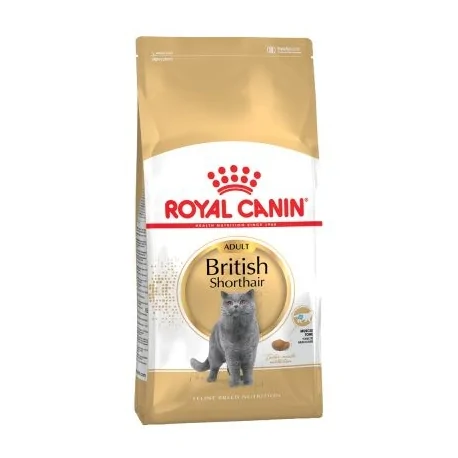 Royal Canin-British Shorthair Adulto (1)