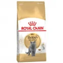 Royal Canin-British Shorthair Adulto (1)