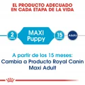 Maxi Junior Cachorros Razas Grandes (18)