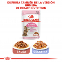 Royal Canin-Kitten Sterilizado (1)