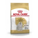 Royal Canin-Bichon Maltese Adulto (1)