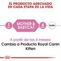 BabyCat Gestación/Lactancia (1)