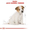 Royal Canin-Jack Russell Cachorro (1)