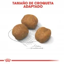 Royal Canin-Giant Puppy (1)