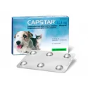 Elanco-Capstar para Perros Pequeños y Gatos (1)
