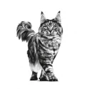 Royal Canin Veterinary Diets-Vet Care Senior Consult Stage 2 (1)