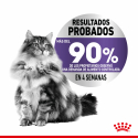 Royal Canin Appetite control care gelatina comida húmeda gato