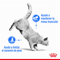 Royal Canin Light Weight Care (2)