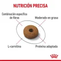 Royal Canin Appetite Control care pienso para gato