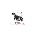 Royal Canin Appetite Control care pienso para gato