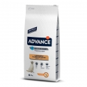 Affinity Advance-Labrador Adulto (1)