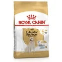 Royal Canin Labrador Retriever Adult +5 Pienso para perros