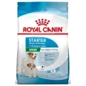 Royal Canin-Mini Starter Mother&Babydog (1)