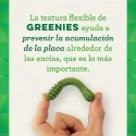 Greenies Snack Dental Large Para Perros Grandes 170 g