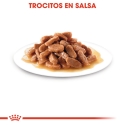 Royal Canin Kitten Sterilised Sobres En Salsa Para Gatitos