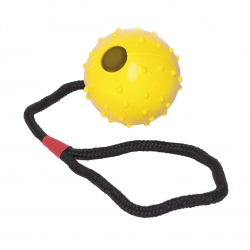 Pelota Gloria Goma Con Cuerda