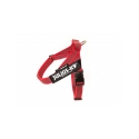 Julius K9 Belt Arnés De Cinta Rojo