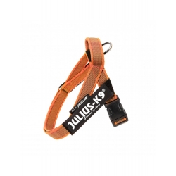 Julius K9 Belt Arnés De Cinta Naranja