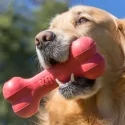 Kong Goodie Bone Hueso De Caucho Para Perro